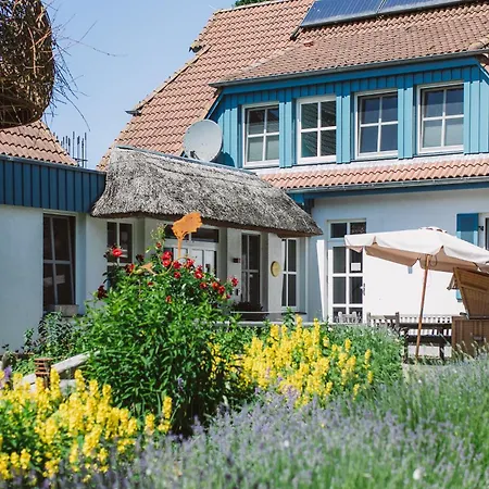 Haus Am Schilf - 3